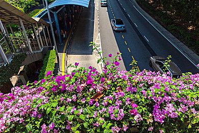 《星际公民》CIG员工爆料 公司摇摇欲坠